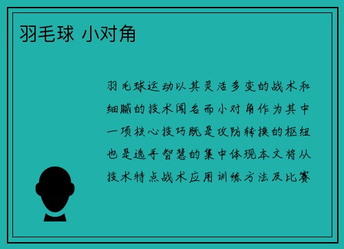 羽毛球 小对角