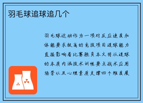 羽毛球追球追几个